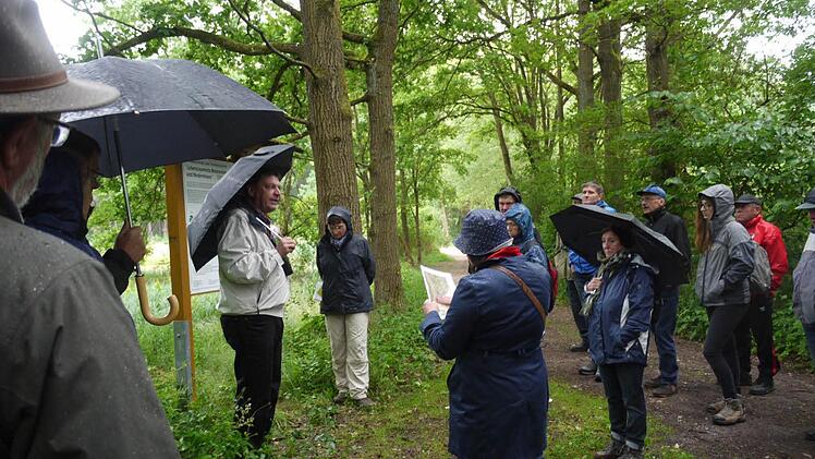 Johannes Marabini (links mit heller Jacke) führte die Naturfreunde durch den Bürgerwald. Foto: Pauline Lindner