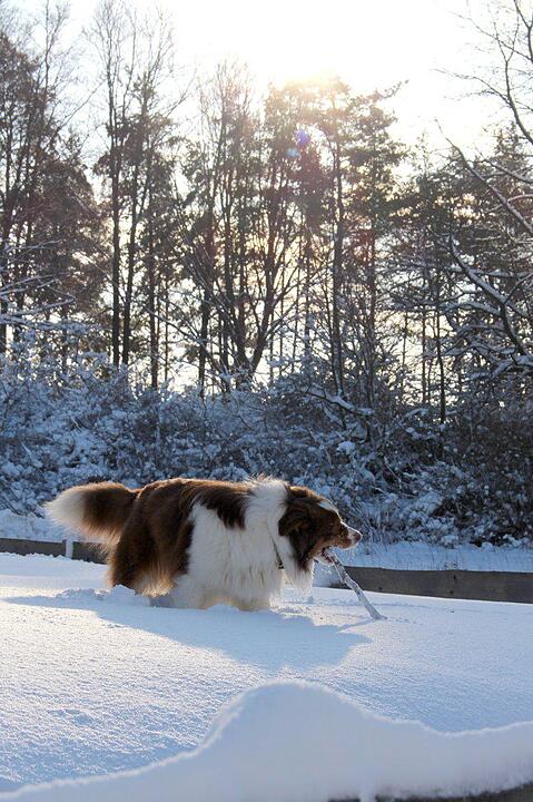 Schnee und Eis - Die schönsten Aufnahmen aus Franken