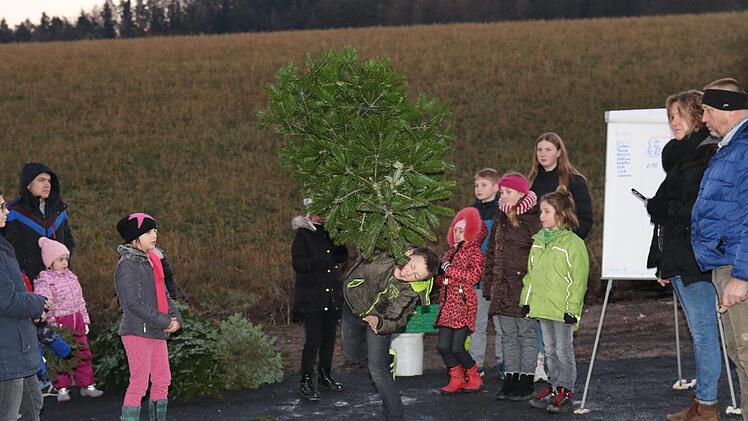 Der  Christbaumweitwurf machte den Kids viel Spaß. Das Kinder- und Jugendzentrum hatte das Spektakel organisiert und die Kids eingeladen. Foto: Desombre