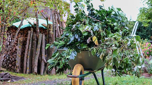 Bis zu 100.000 Euro Bußgeld für Gartenarbeit