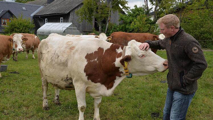 Streicheleinheiten erwünscht. Johannes Förtsch mit seinen Kühen. Im Hintergrund links eine der Ferienwohnungen.  Fotos: Ronald Rinklef