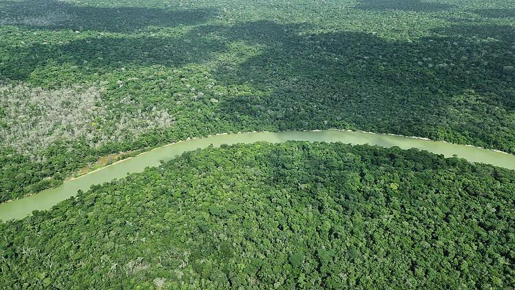 &Uuml;berflug &uuml;ber das Amazonasgebiet