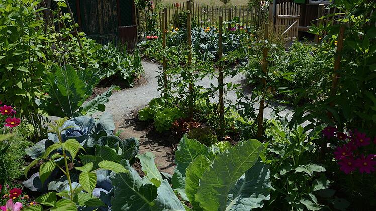 Impressionen von der Landesgartenschau in Bayreuth Foto: Dagmar Besand