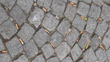 Foto: Martin Bischof