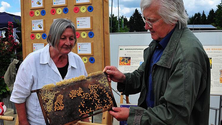 So sieht es im Bienenstock aus: Exklusive Einblicke gewährten die Thurnauer Imker Christel und Volker Enzmann.