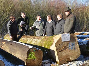 Die "Braut", der Stamm mit dem besten Festmeterpreis wird von der WBV-Führung besprochen (von links): Ralf Keller, Manfred Herter, Wolfgang Schultheiß, Sebastian Straubel, Daniel Angermüller und "Brauvater" Carsten Keller von der Stadt Eisfeld. Rainer Lutz
