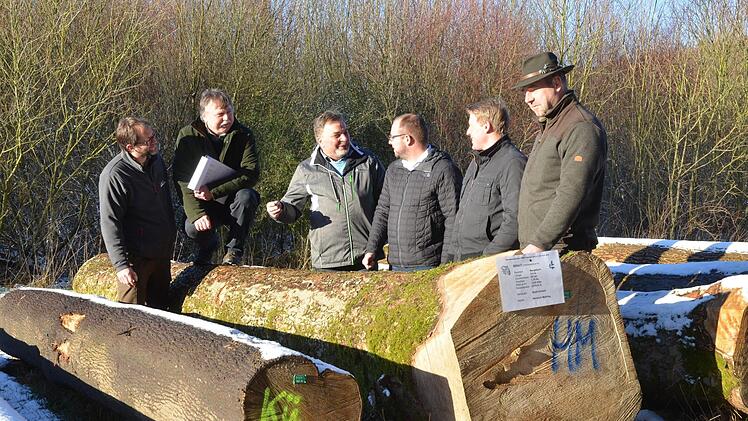 Die "Braut", der Stamm mit dem besten Festmeterpreis wird von der WBV-Führung besprochen (von links): Ralf Keller, Manfred Herter, Wolfgang Schultheiß, Sebastian Straubel, Daniel Angermüller und "Brauvater" Carsten Keller von der Stadt Eisfeld. Rainer Lutz