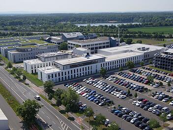 Massiver Stellenabbau bei Autozulieferer ZF: Tausende Mitarbeiter haben protestiert