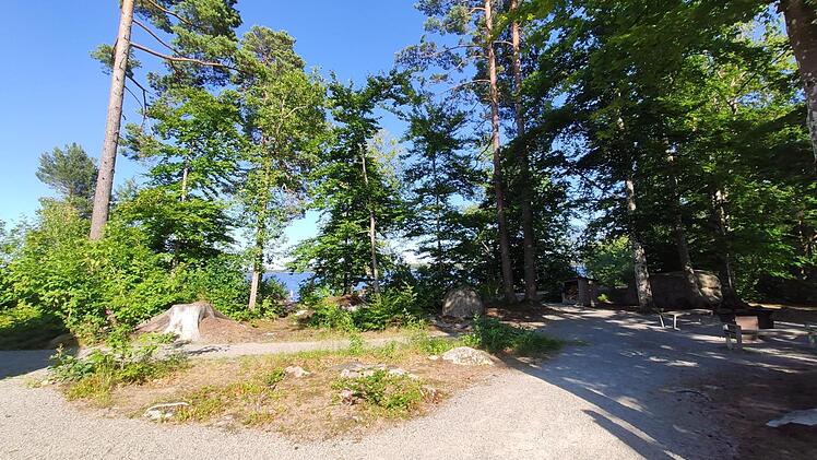 Urlaub, Wandern, Reise, Natur, Naturpark, Lüneburg, Lüneburger Heide, Heide, Hamburg, Hannover, Bremen, Erlebnis