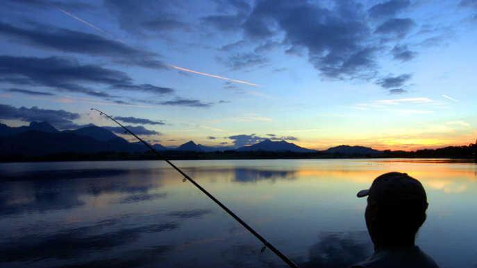 Zwei Unbekannte sind in der Nacht zum Montag auf das Gelände eines Fischweihers in Unterfranken eingedrungen und haben dort erfolglos versucht zu angeln. Symbolbild: Stefan Puchner/dpa-lby