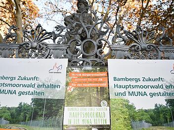 Stadt Bamberg und Bürgerinitiative "Für den Hauptsmoorwald" werben derzeit verstärkt für die beiden Begehren, über die im Bürgerentscheid am 18. November abgestimmt wird. Foto: Ronald Rinklef