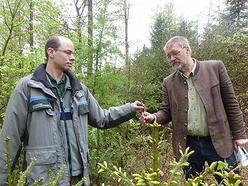 Peter Bittermann (Amt für Ernährung Landwirtschaft und Forsten) und Heinrich Hümpfner (stellvertretender Leiter des Staatlichen Forstbetriebs Bad Brückenau) haben die Zukunft des Waldes im Blick. Foto: Wolfgang Dünnebier