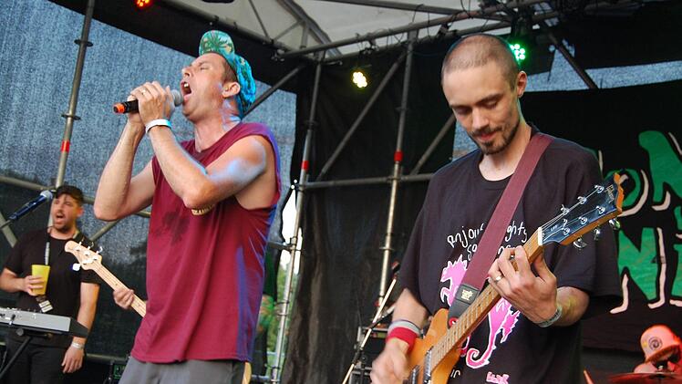 Schrien sich die Seele aus dem Leibe: die Jungs der Londoner Punk Gruppe Wonk Unit. Foto: Rolf Krebs