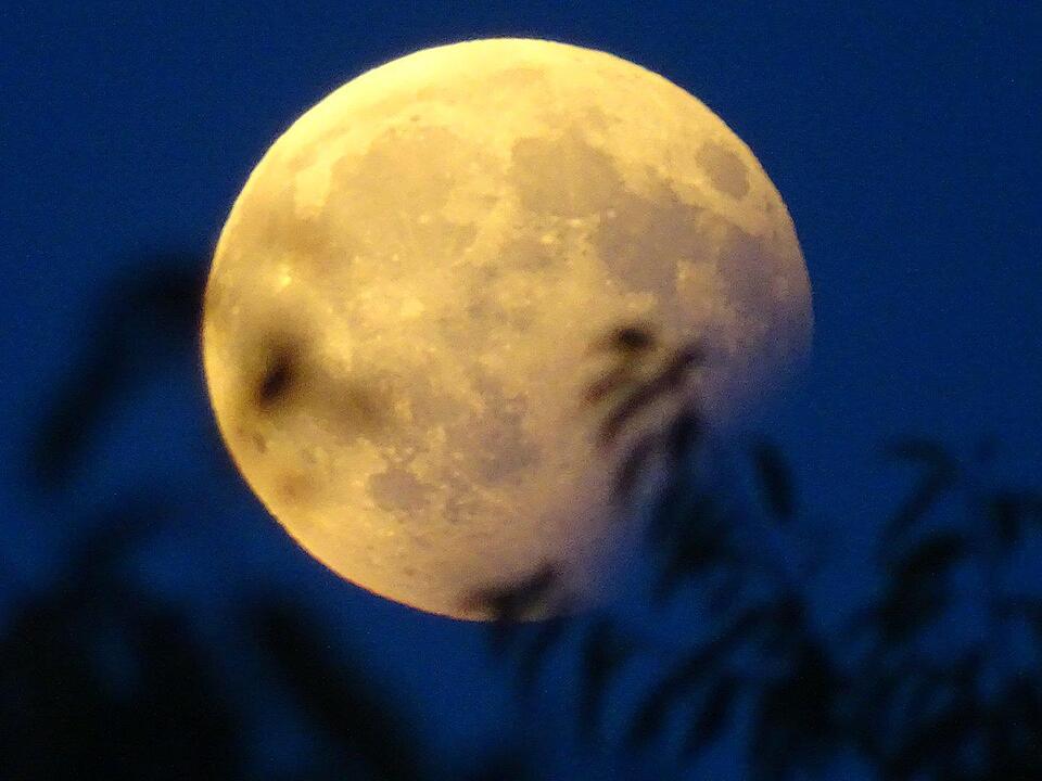 Partielle Mondfinsternis über Frankentielle Mondfinsternis 7. August 2017