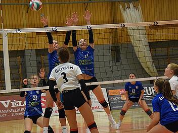 Rund um Hammelburg grassiert wieder das Volleyball-Fieber