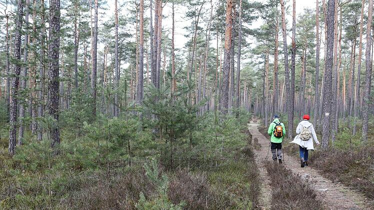 Unterwegs auf unserer Dünenwanderung mit Andi Schettler. Foto: Barbara Herbst