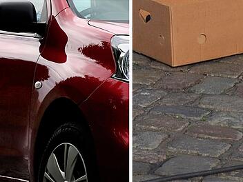 Tierheim Feucht macht schrecklichen Fund in Karton: Tierquäler hinterlässt Botschaft - "sorry" Tierheim Feucht macht schrecklichen Fund in Karton: Tierquäler hinterlässt Botschaft - "sorry"