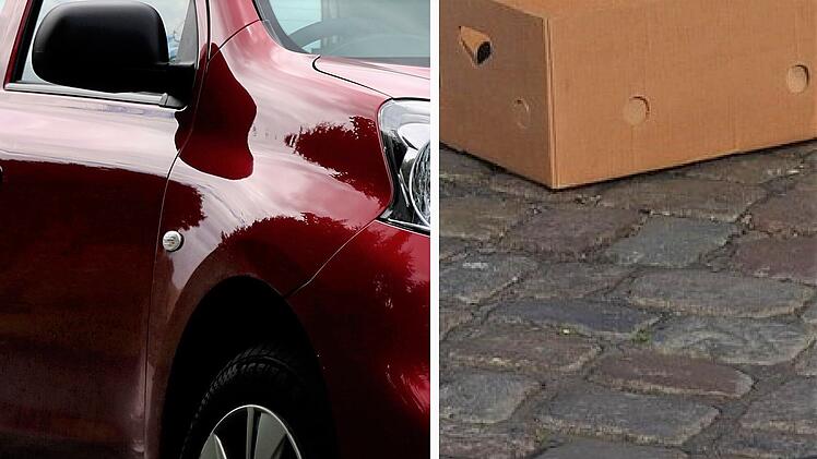 Tierheim Feucht macht schrecklichen Fund in Karton: Tierquäler hinterlässt Botschaft - "sorry"