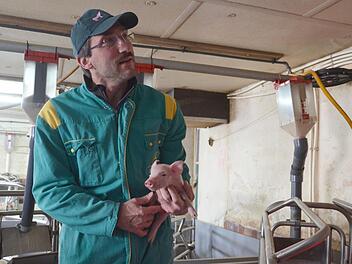 Heiko Engel hält ein wenige Tage altes Ferkel auf dem Arm. Foto: Rainer Lutz