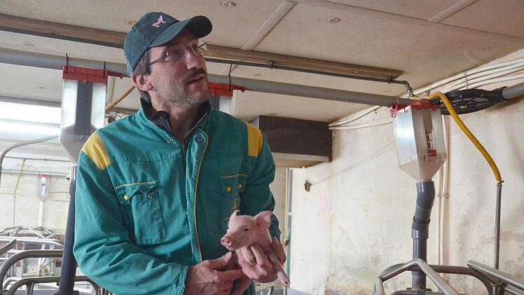 Heiko Engel hält ein wenige Tage altes Ferkel auf dem Arm. Foto: Rainer Lutz