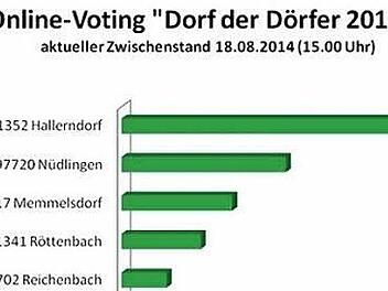 Für das Online-Voting "Dorf der Dörfer", das die Mediengruppe Oberfranken auf ihrer Internet-Plattform "infranken.de" durchführt, haben die beiden Teilnehmer aus dem Landkreis noch Luft nach oben. Das Diagramm zeigt das Abstimmungsergebnis bis Montagnachmittag 15 Uhr.