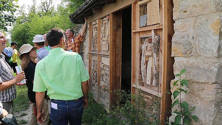 Besichtigung des Insektenhotels