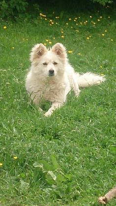 Foto: spitzmix