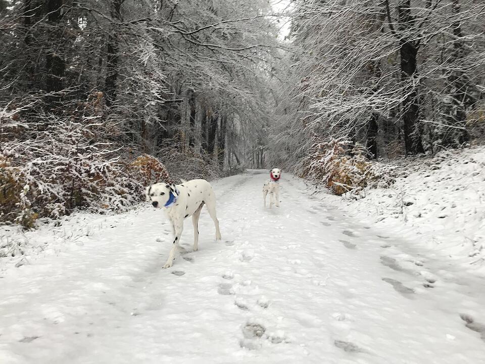 Leserbilder: Der erste Schnee in Franken