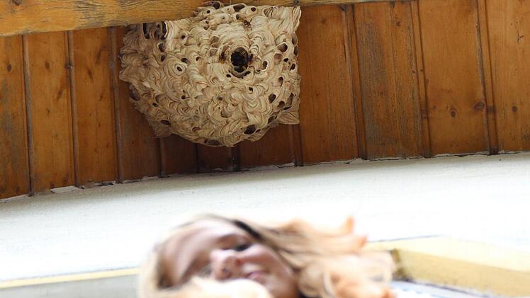 Stefanie Lenk hat keine Angst vor den Hornissen unter ihrem Dach. Foto: Andreas Dorsch