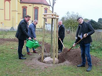Einen Tulpenbaum setzten (v. l.) Geschäftsführer Stephan Greb, Verwaltungsleiterin Bernadette Roßberg, Landrat Thomas Bold und Geschäftsführer Michael Lang stellvertretend für 60 Bäume und Sträucher im Freigelände der Musikakademie.
