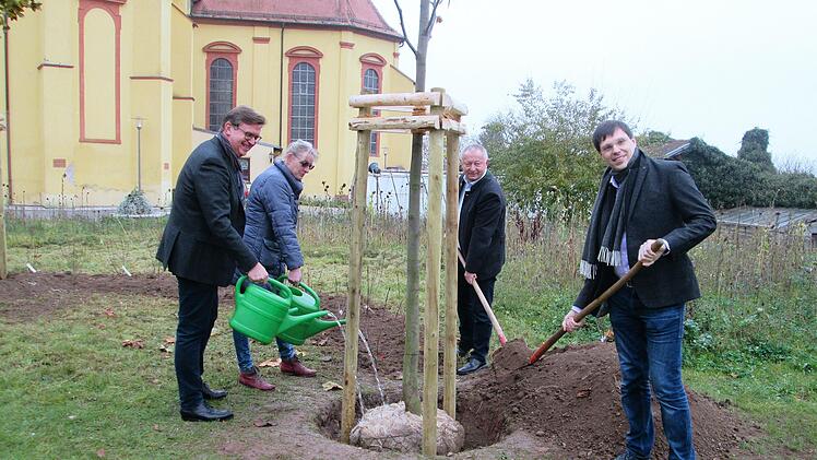 Einen Tulpenbaum setzten (v. l.) Geschäftsführer Stephan Greb, Verwaltungsleiterin Bernadette Roßberg, Landrat Thomas Bold und Geschäftsführer Michael Lang stellvertretend für 60 Bäume und Sträucher im Freigelände der Musikakademie.