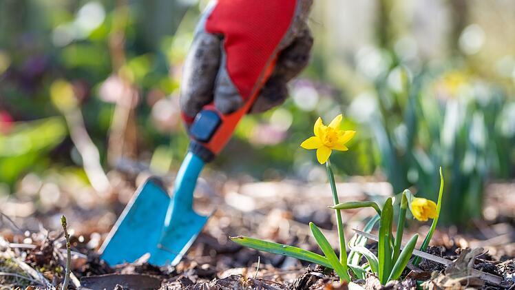 Tipps zur Zeitumstellung