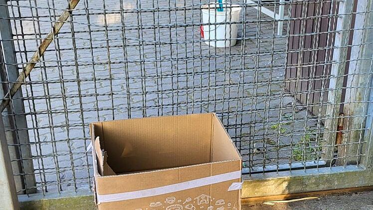 Karton vor dem Tierheim Lichtenfels