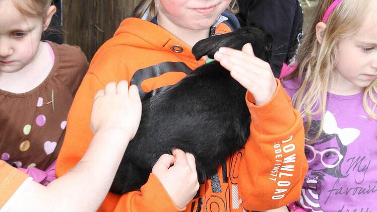 Jonas darf Tomy, den Hasen, auf den Arm nehmen.