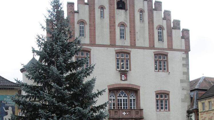 Statt der Gildewappen ziert jetzt eine schön gewachsene Blautanne Hammelburgs "gute Stube". Der Weihnachtsbaum erhält in Kürze noch Lichterketten.  Fotos: Winfried Ehling