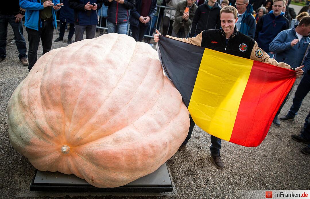 KINA - Der schwerste Kürbis der Welt