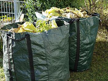 Bamberg: Service holt Grüngut und Gartenabfälle ab - das sind die Termine