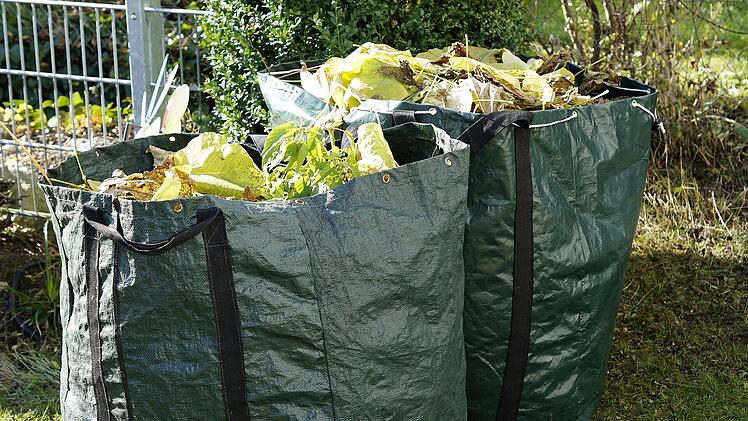 Bamberg: Service holt Grüngut und Gartenabfälle ab - das sind die Termine