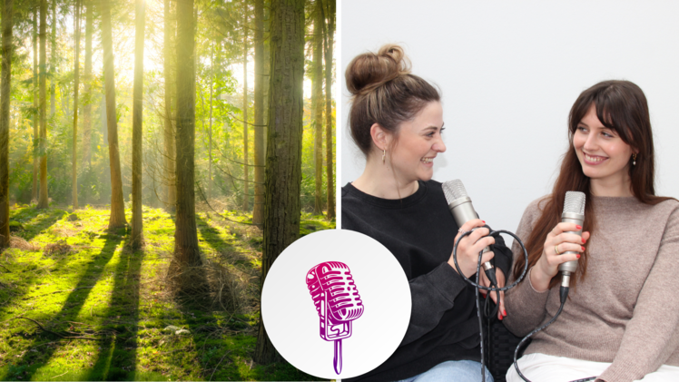 Frankens Wälder: Freizeit-Tipps und spannende Fakten