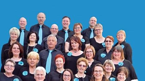 Die Rödentaler Saint-Gobain-Singers sind heute Abend, 19 Uhr, im Rathaussaal der Stadt zu hören. Foto: privat