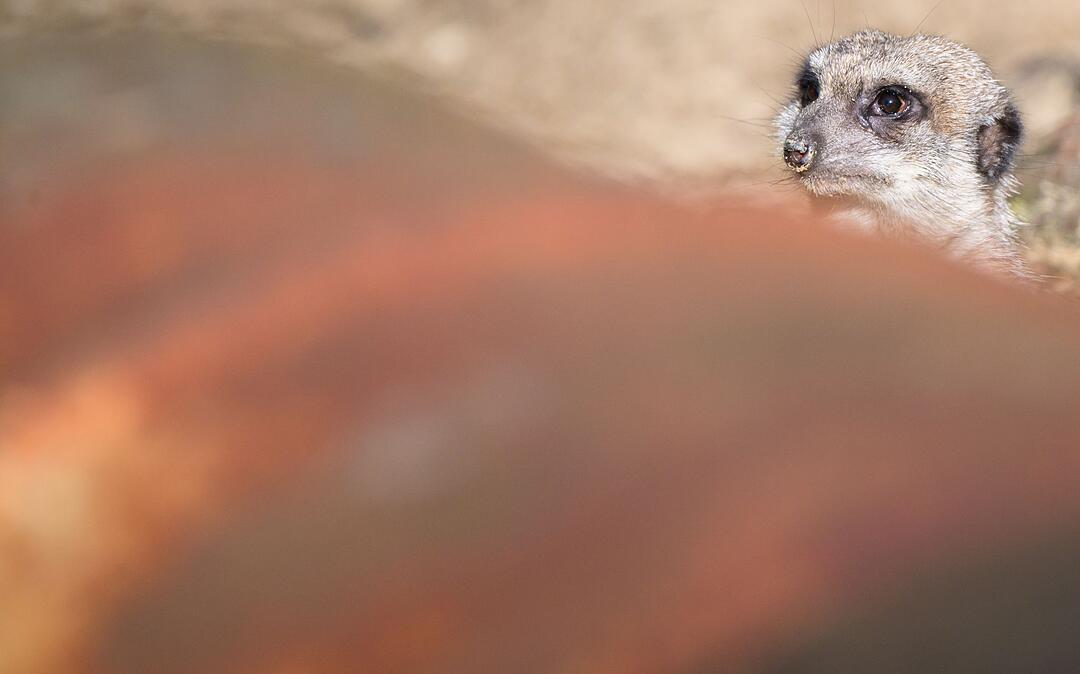 Fr&uuml;hlingswetter in Niedersachsen