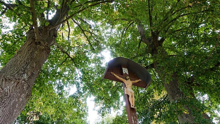 Oftmals finden sich große Bäume gerade deshalb in der Nähe von Wegkreuzen, um die Mächtigkeit Gottes zum Ausdruck zu bringen.