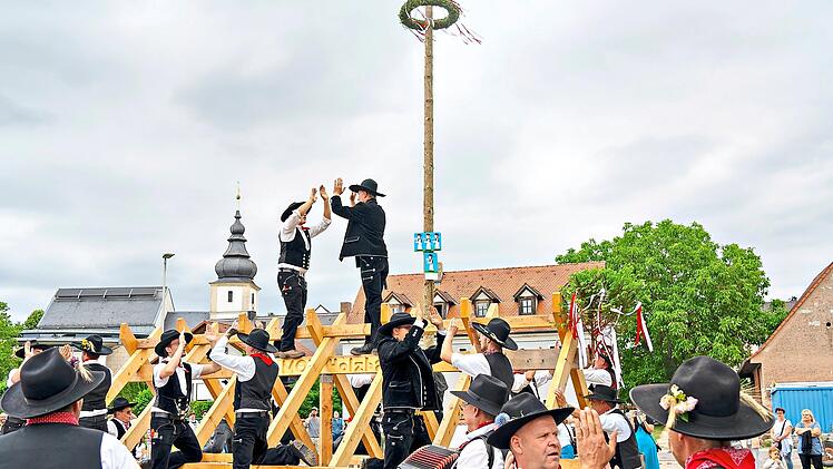 Am Samstagnachmittag l&auml;dt die Stegauracher Maurer- und Bauhandwerkerzunft zum Kerwasbaumaufstellen ein. Gemeinde Stegaurach