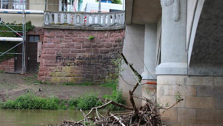 Braune Trübung und angeschwemmtes Holz: Gestern an der Ludwigsbrücke. Foto: Ralf Ruppert