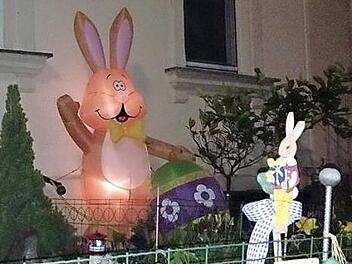 Der Osterhase ist in Forchheim daheim.  Foto: Daniel Ruppert