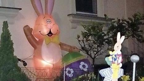 Der Osterhase ist in Forchheim daheim.  Foto: Daniel Ruppert