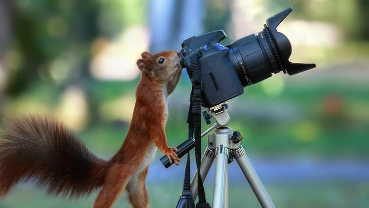 Wenn das Model zum Fotograf wird...