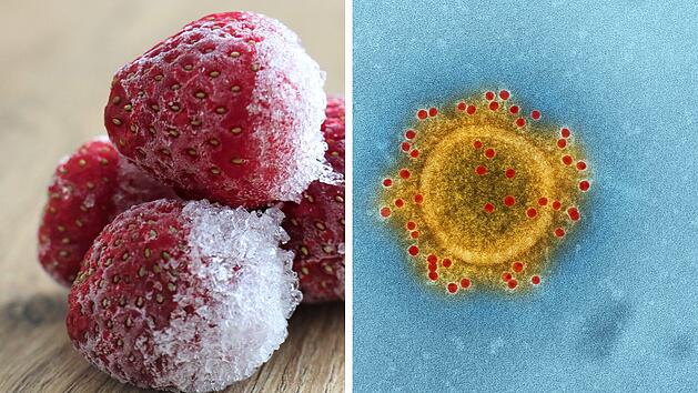 Gefrorene Lebensmittel sind praktisch und im Handumdrehen verzehrfertig. Bemerkst du ungewöhnliche Veränderungen, solltest du vorsichtig sein, um deine Gesundheit nicht zu gefährden.
