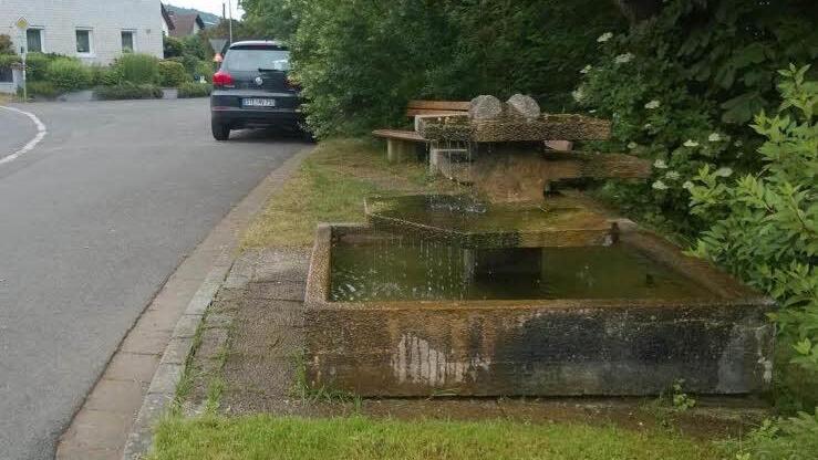 So hatte der alte Brunnen ausgesehen. Foto: privat