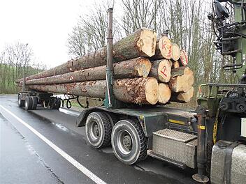 Auch einen Langholztransport stoppte die Polizei. Bei ihm waren 47 Tonnen geladen.